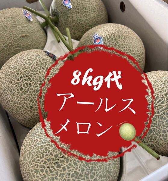 果物 フルーツ メロン アールスメロン 青肉 8kg