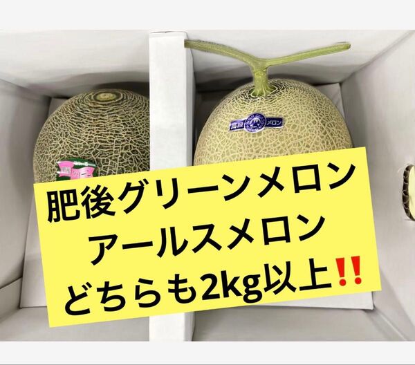 【食べ比べ】果物 メロン アールスメロン 肥後グリーン 大玉 期間限定