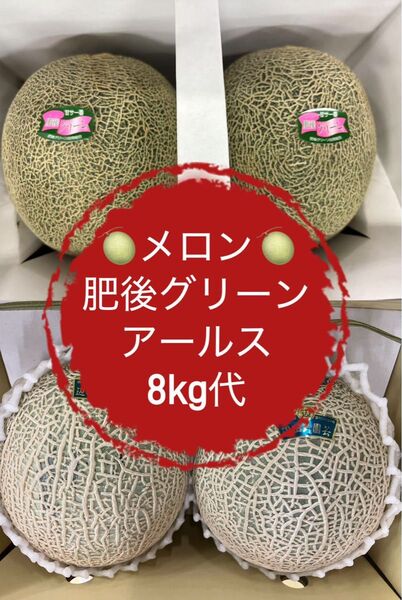 【セール開催】果物 メロン アールスメロン 肥後グリーン 大玉 食べ比べ お得
