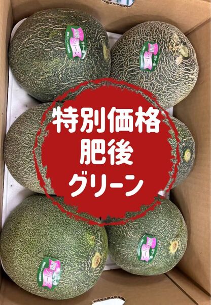 果物 フルーツ メロン 肥後グリーンメロン 希少 お得 5kg