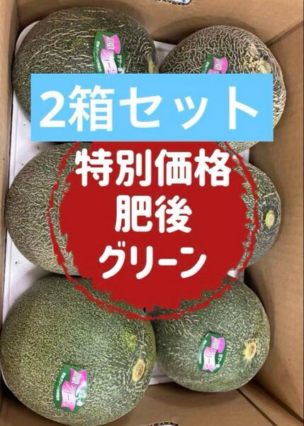 【セール開催】果物 フルーツ メロン 肥後グリーンメロン 希少 お得 10kg