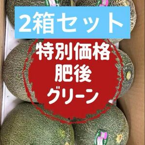 果物 フルーツ メロン 肥後グリーンメロン お得 甘さ 2箱セット