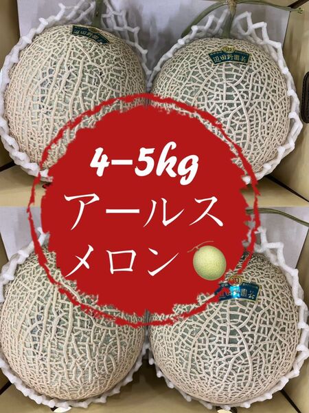 果物 フルーツ メロン アールスメロン 青肉 大玉 5kg