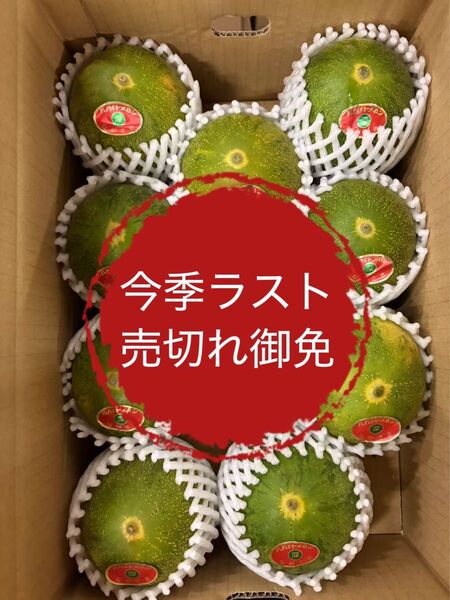 【ラスト】果物 メロン パパイヤメロン 甘 5kg 期間限定