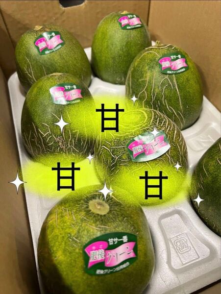 【値下げ】果物 フルーツ メロン 肥後グリーンメロン 希少 お得 5kg