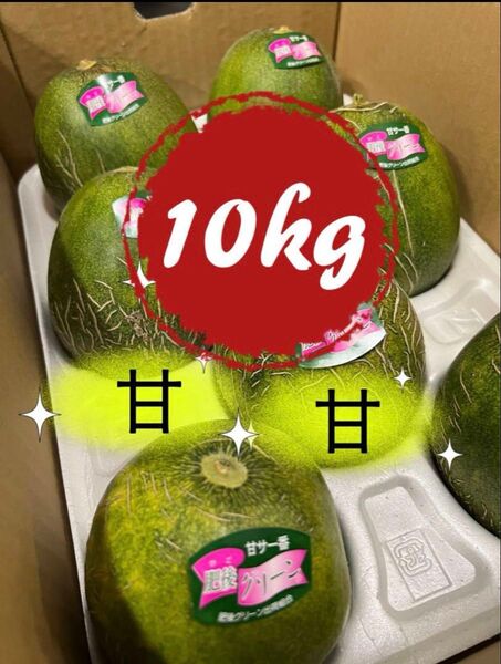 【2箱セット】【値下げ】果物 メロン 肥後グリーンメロン お得 業務 10kg