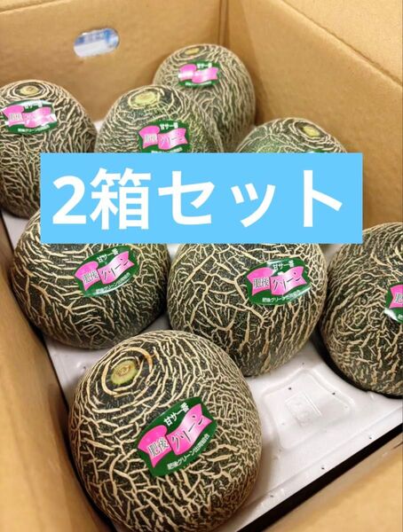 【2箱セット】【数量限定】果物 メロン 肥後グリーンメロン 小玉 お得 10kg