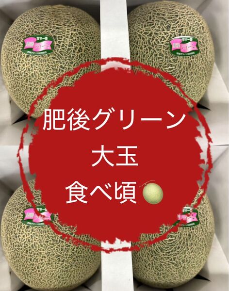 果物 フルーツ メロン 肥後グリーンメロン 大玉 甘々 贈答 ギフト