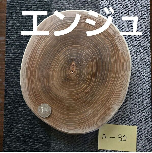 輪切りの木 エンジュ A-30