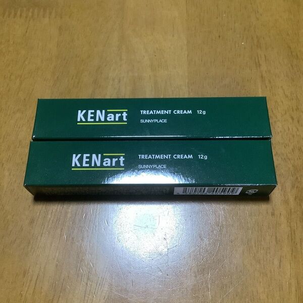 新品 美容室専売品 サニープレイス KENart 洗い流さないトリートメント サンプルサイズ 12g 2個セット