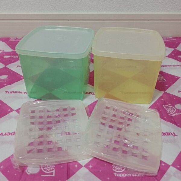 レトロ タッパーウェア 角型ケース(中)(2個)すのこ付 Tupperware