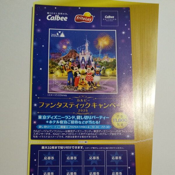 ディズニー懸賞 応募券 40点分 ディズニーランド貸切パーティーファンタスティックキャンペーン2025 カルビー はがき15枚