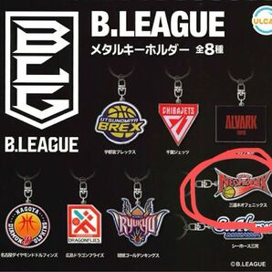 B.LEAGUE メタルキーホルダー 三遠ネオフェニックス