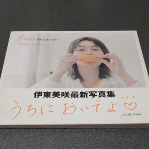 fruits 伊東美咲 写真集 うちにおいでよ 森本美絵/写真 帯付き いとうみさき 女優