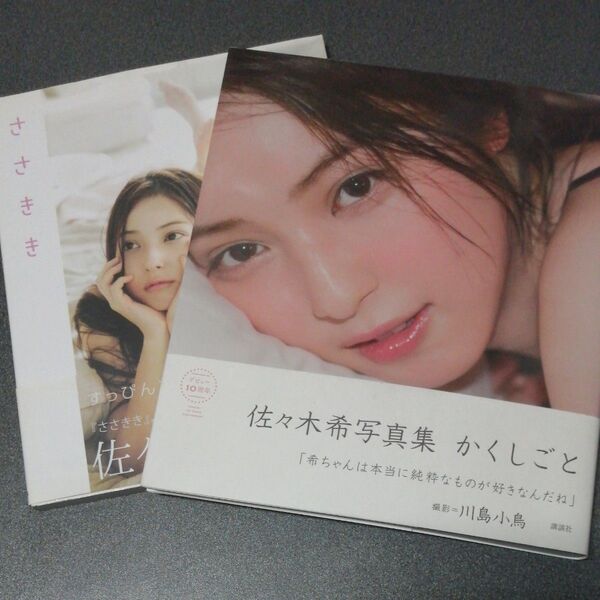 2冊セット かくしごと 佐々木希 /著 川島小鳥/撮影 / ささきき 帯付き ささきのぞみ 写真集 グラビア 水着 ビキニ