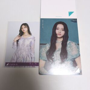 乃木坂46 井上和 生写真 ネーブルオレンジ CD封入 チュウ・ネーブルオレンジ ポストカード