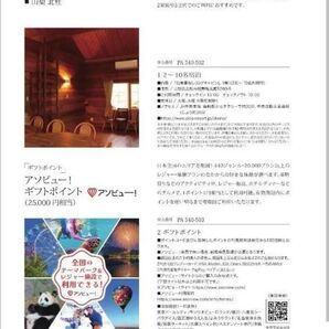 アソビュー25,000円分(期限25年10月上旬)/リンベル カタログ