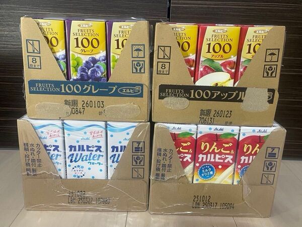 紙パックりんご&カルピス 250ml カルピスウォーター250ml 100%グレープ 100%アップル各12本 合計48本セット