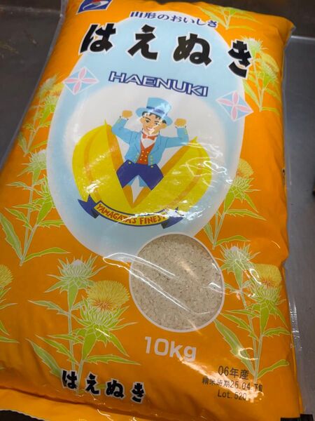 山形県産 はえぬき 10kg
