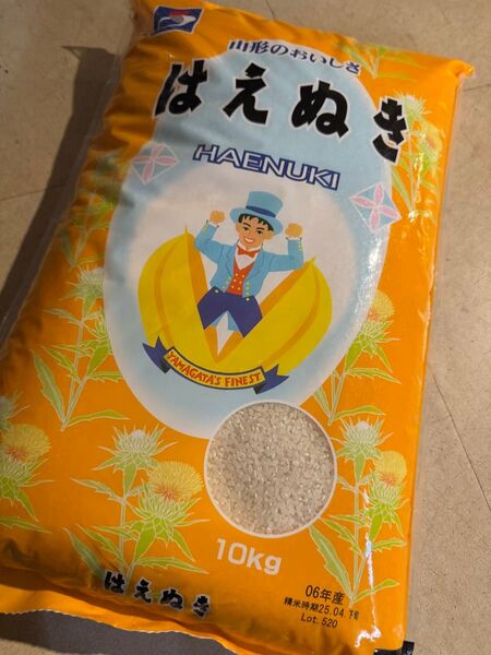 山形県産 はえぬき 10kg