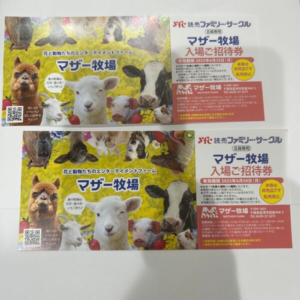 マザー牧場 入場ご招待券 2枚