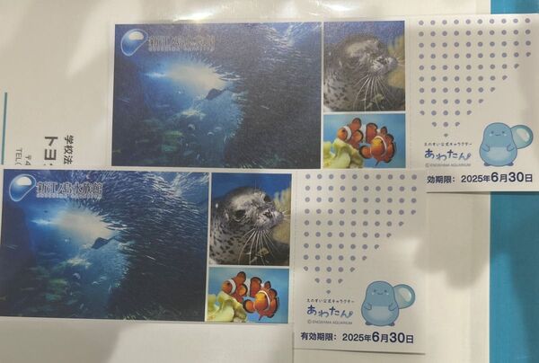新江ノ島水族館 チケット 2枚 有効期限2025年6月30日