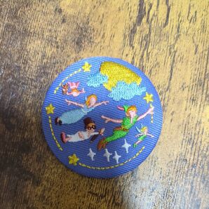 Disney Characters 刺繍缶バッジ ディズニーキャラクターズ ピーターパン
