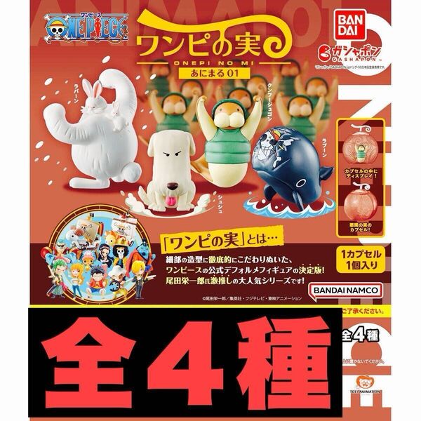 ワンピの実 あにまる01 全4種 コンプリート カプセル付き 最終価格