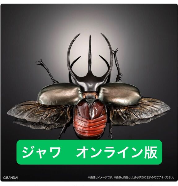 オンライン版 コーカサスオオカブト(ジャワ) いきもの大図鑑アドバンス コーカサスオオカブトディスプレイスタンドセット