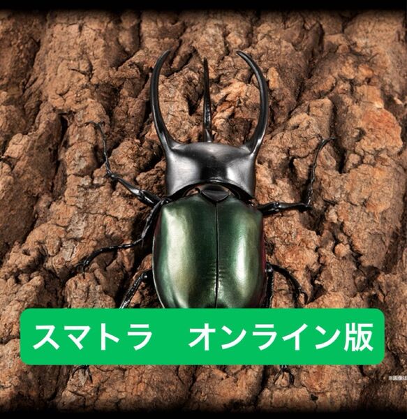 オンライン版 コーカサスオオカブト(スマトラ) いきもの大図鑑アドバンス コーカサスオオカブトディスプレイスタンドセット