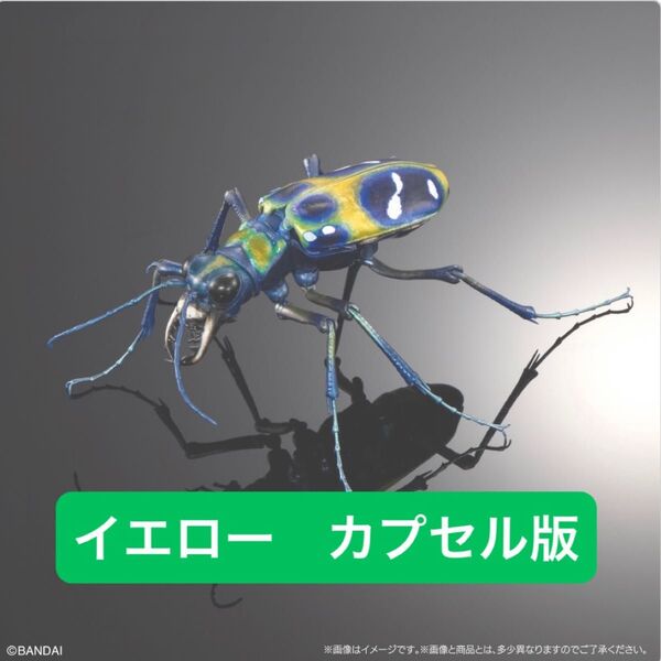 カプセル版 ハンミョウ(イエロー) いきもの大図鑑アドバンス オオキバウスバカミキリとハンミョウ