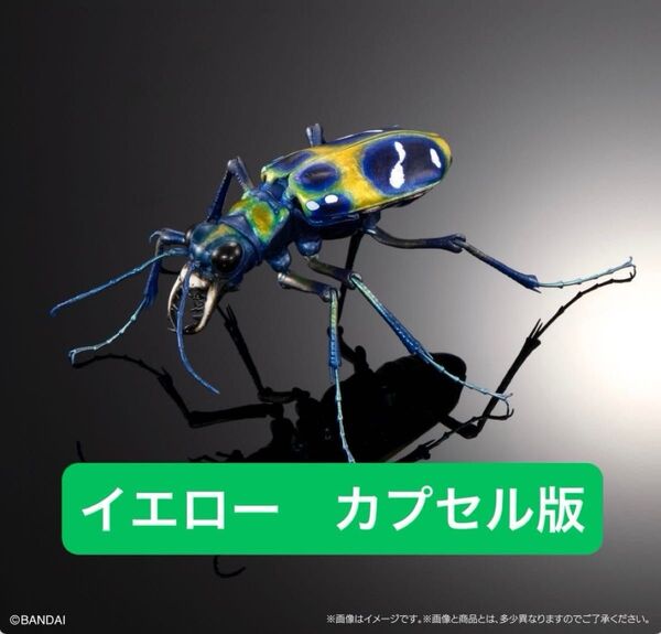 カプセル版 ハンミョウ(イエロー) いきもの大図鑑アドバンス オオキバウスバカミキリとハンミョウ