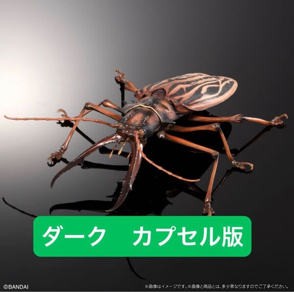 カプセル版 オオキバウスバカミキリ(ダーク) いきもの大図鑑アドバンス オオキバウスバカミキリとハンミョウ