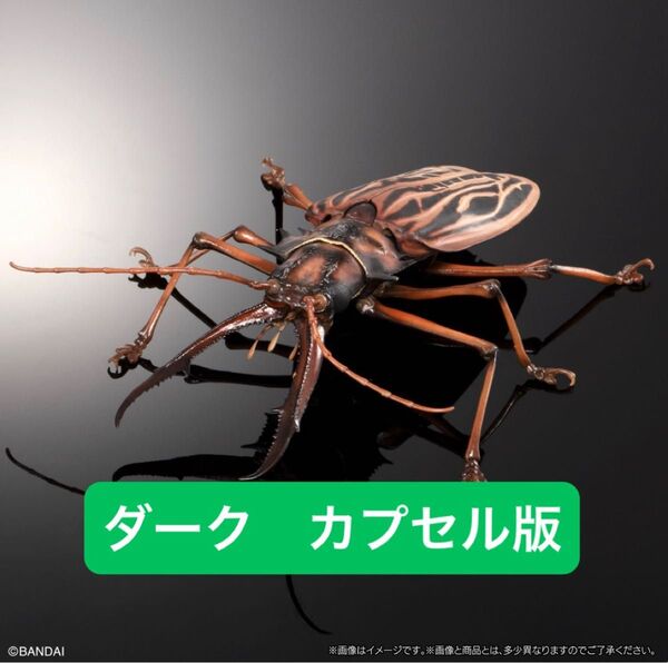 カプセル版 オオキバウスバカミキリ(ダーク) いきもの大図鑑アドバンス オオキバウスバカミキリとハンミョウ