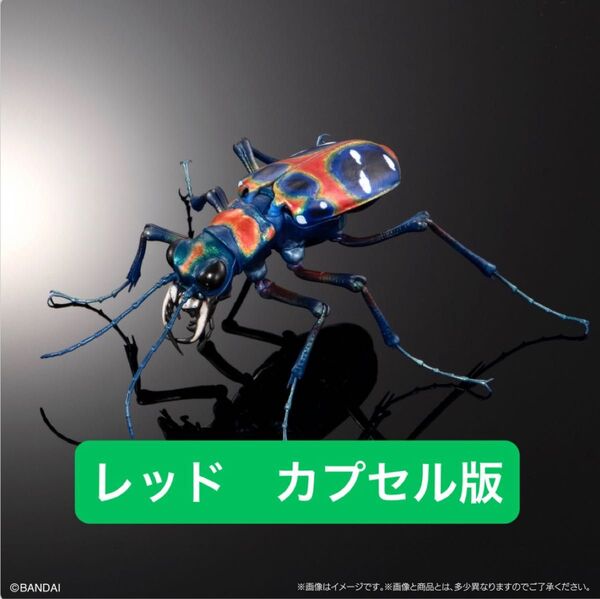 カプセル版 ハンミョウ(レッド) いきもの大図鑑アドバンス オオキバウスバカミキリとハンミョウ