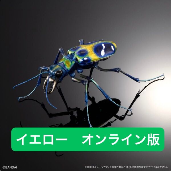 オンライン版 ハンミョウ(イエロー) いきもの大図鑑アドバンス オオキバウスバカミキリとハンミョウ