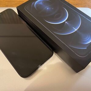 iPhone12 Pro 256GB
