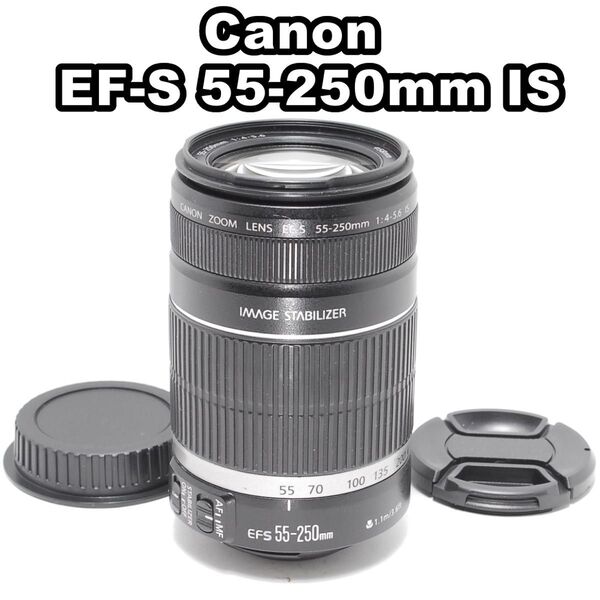 美しい背景ボケ Canon EF-S 55-250mm IS 大人気望遠レンズ