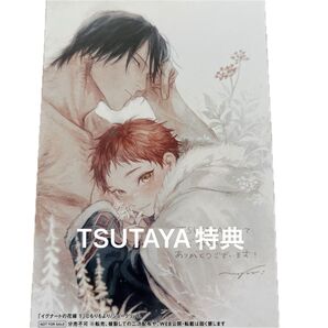TSUTAYA特典 イラストカード / イグナートの花嫁 1/もりもより