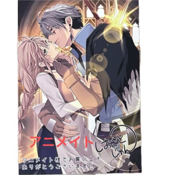 アニメイト特典 世界を救った最強勇者にストーカーされる村娘の話 1