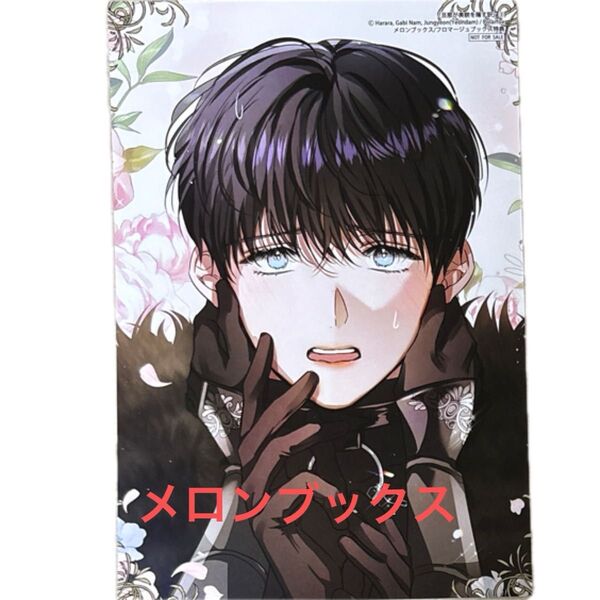 メロンブックス特典 旦那が美貌を隠す訳 3 (フロースコミック)Harara/漫画 Gabi Nam/ストーリー Jungyeon
