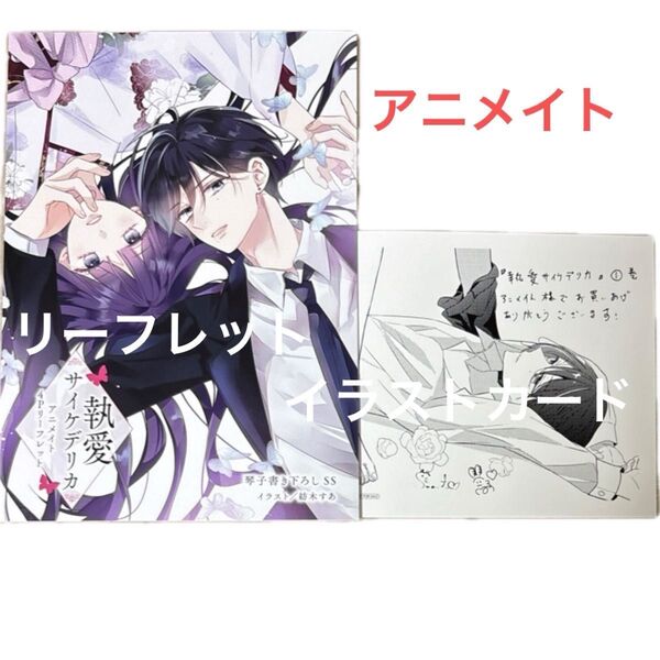 アニメイト特典リーフレット イラストカード 執愛サイケデリカ 1 (ぶんか社コミックス PRIMO COMI) 琴子 紡木すあ
