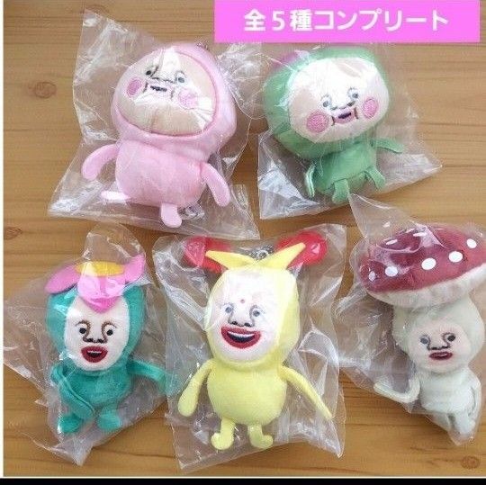 こびとづかんのぬいぐるみガチャ こびとずかんガチャガチャ フルコンプ カクレモモジリ スモモノウチ ホトケアカバネリトルハナガシラ