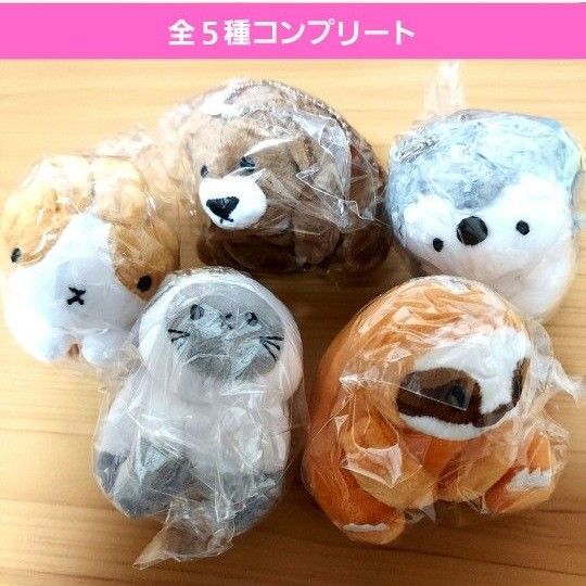 サタケシュンスケぬいぐるみコレクションガチャ ガチャガチャ フルコンプ ねこ くま なまけもの ハリネズミ うさぎ かわいい 新品