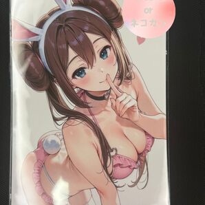 セクシーイラスト 1枚 ウラシク 3枚 4枚セット 同人 フォト ポケモン メイ ピンクバニーB ACG 匿名配送