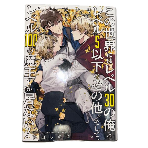 この世界にはレベル30の俺と、レベル5以下のその他。そして、レベル100の魔王しか居ない! はいじ/著