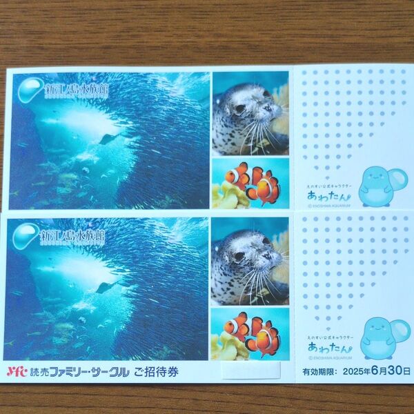 新江ノ島水族館 招待券 2枚