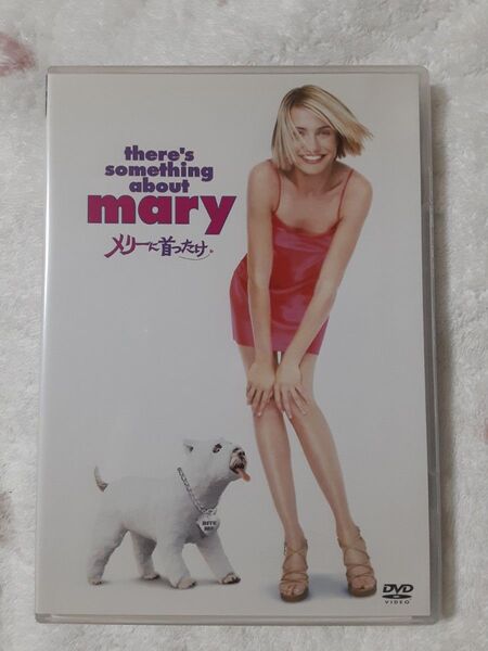 メリーに首ったけ DVD キャメロンディアス 非レンタル品