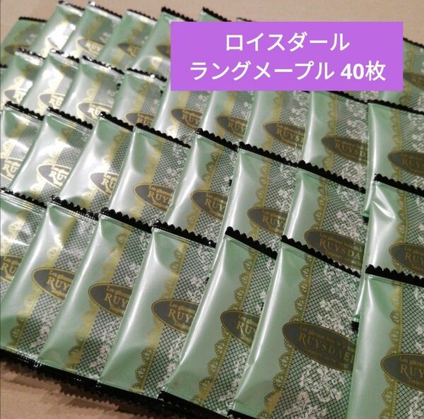 ロイスダール*ラングメープル*40枚*アウトレット