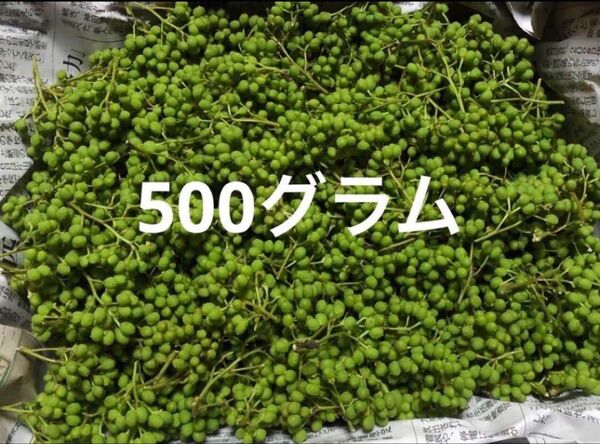 【採れたて】山椒の実 無農薬 500g